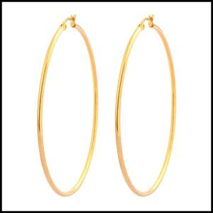 Stainless Steel Hoop Earrings Elegant Minimal Chic Hypoallergenic Gift